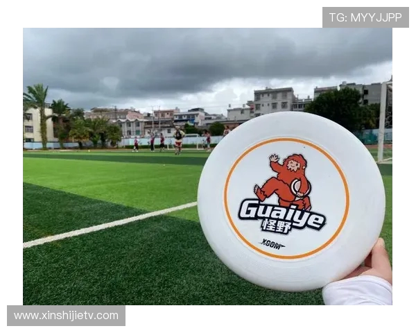 武汉飞盘队荣登全国飞盘状态排行榜第三名展现强劲实力与团队精神