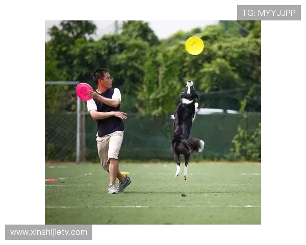 西安飞盘队心理素质研究：竞技与团队协作的心灵之旅