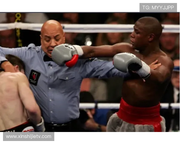 吴泽与武会强的巅峰对决谁将成为拳坛新王者的传奇之路