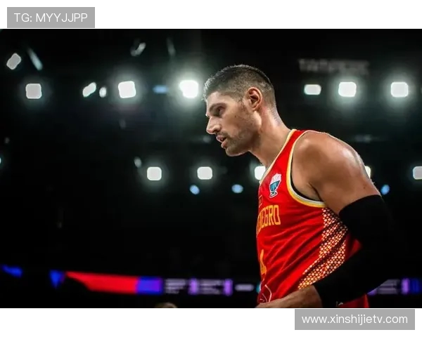 尼古拉武切维奇的艺术之旅与创作灵感探讨