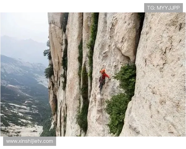 上海攀岩队比赛经验的变革与热议背后的故事与启示 上海攀岩队比赛经验的变革与热议背后的故事与启示