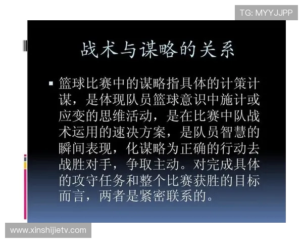 深圳篮球队实力揭秘：探索球队背后的训练与战术之道